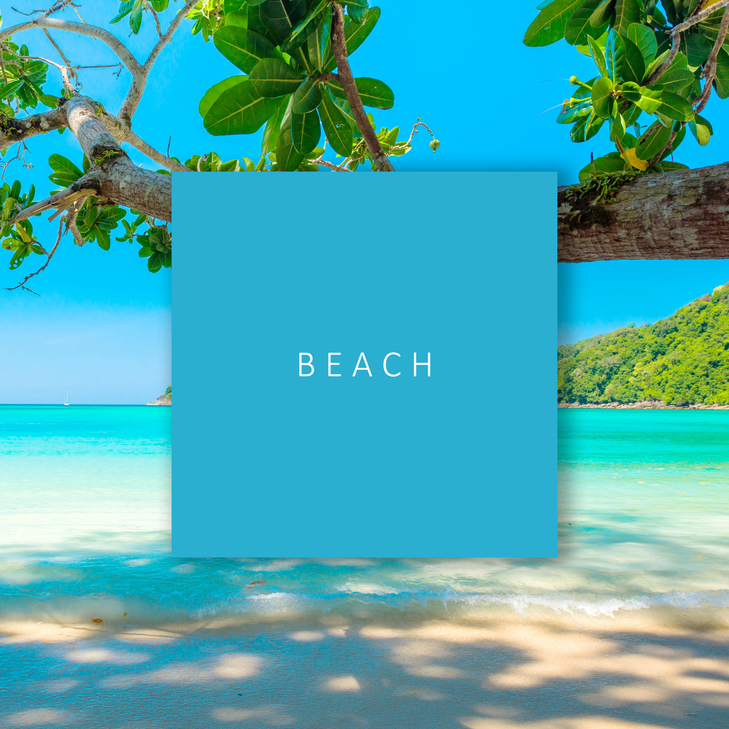 Beach & Tropical