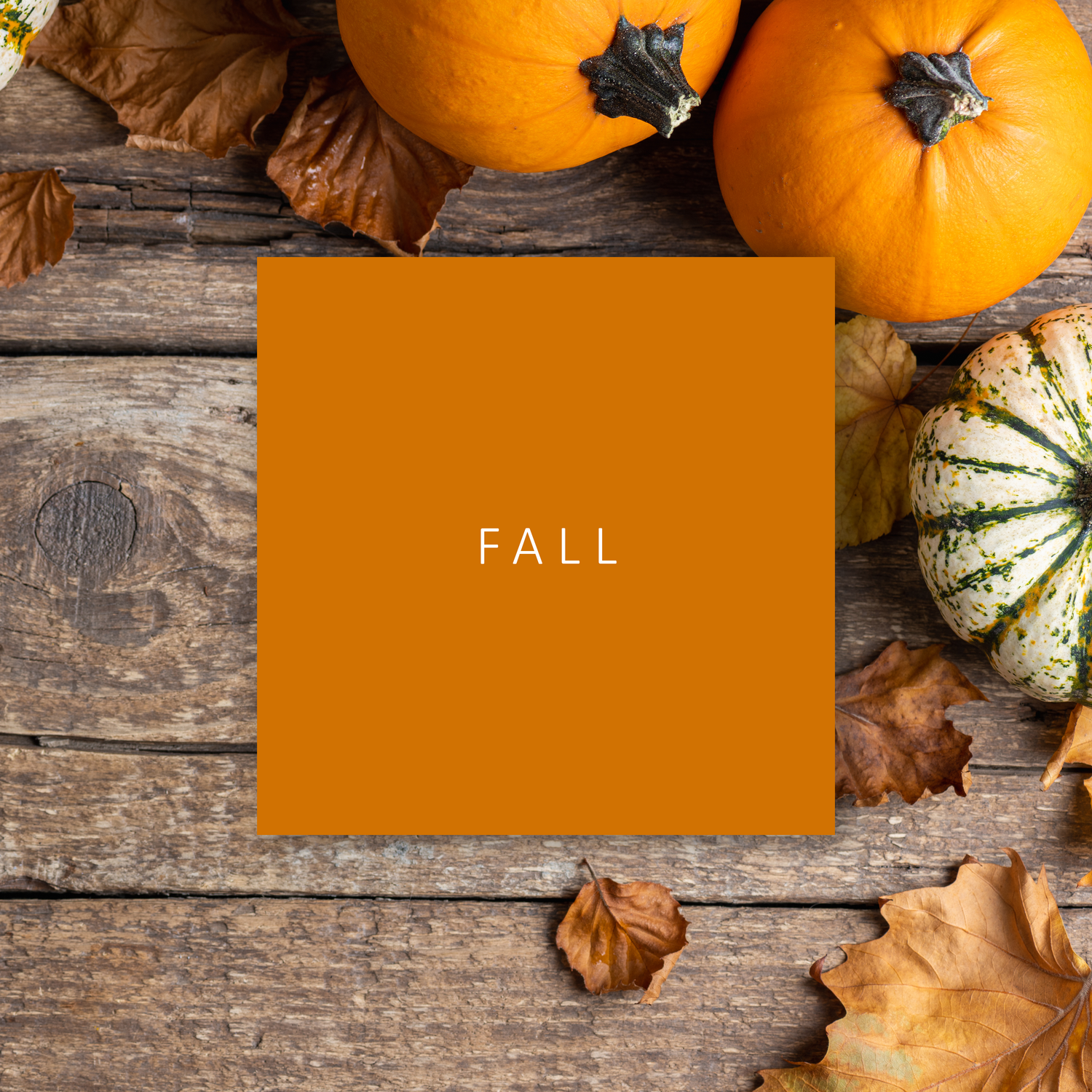 Fall/Autumn