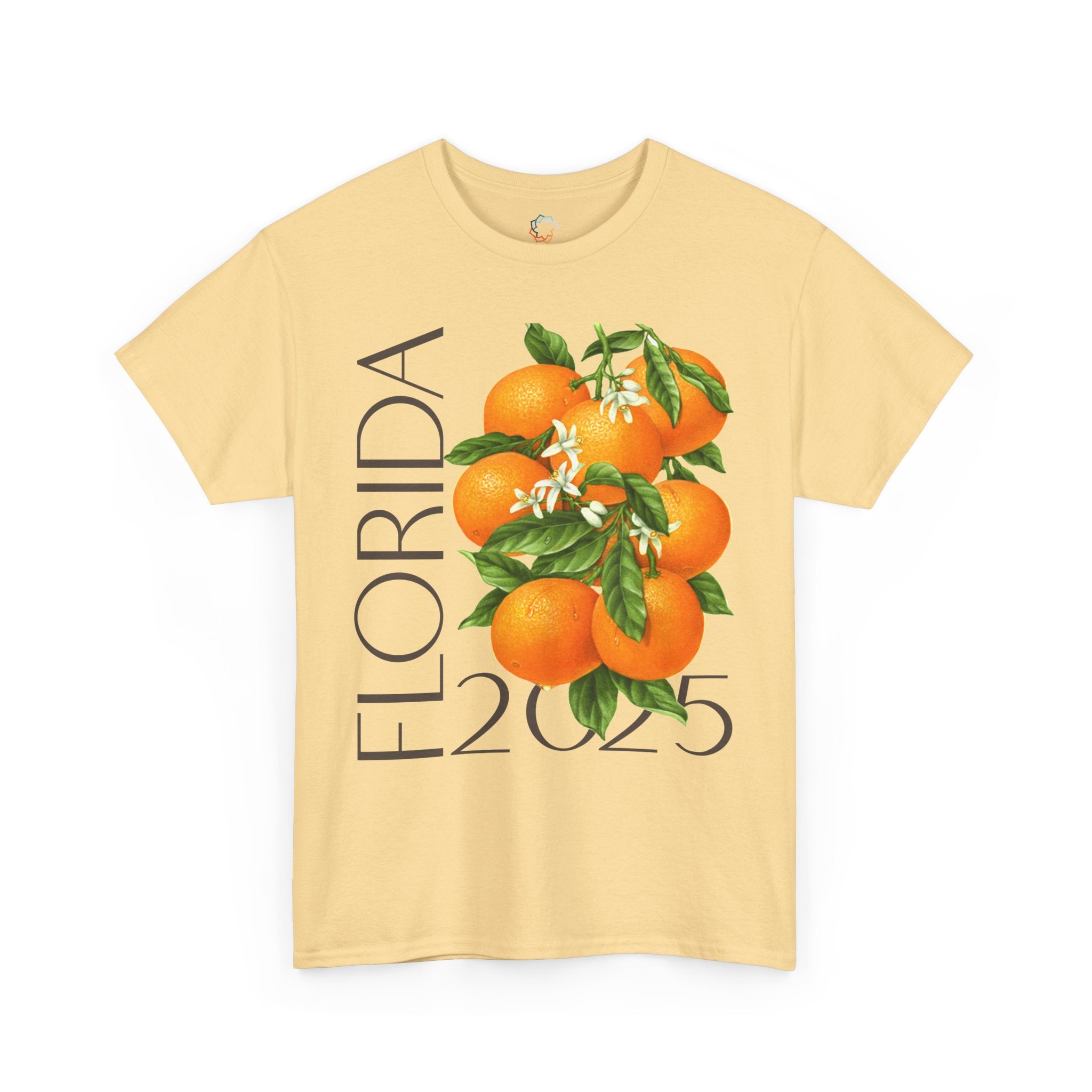VALENCIA | Florida Orange Men's Graphic T-shirt