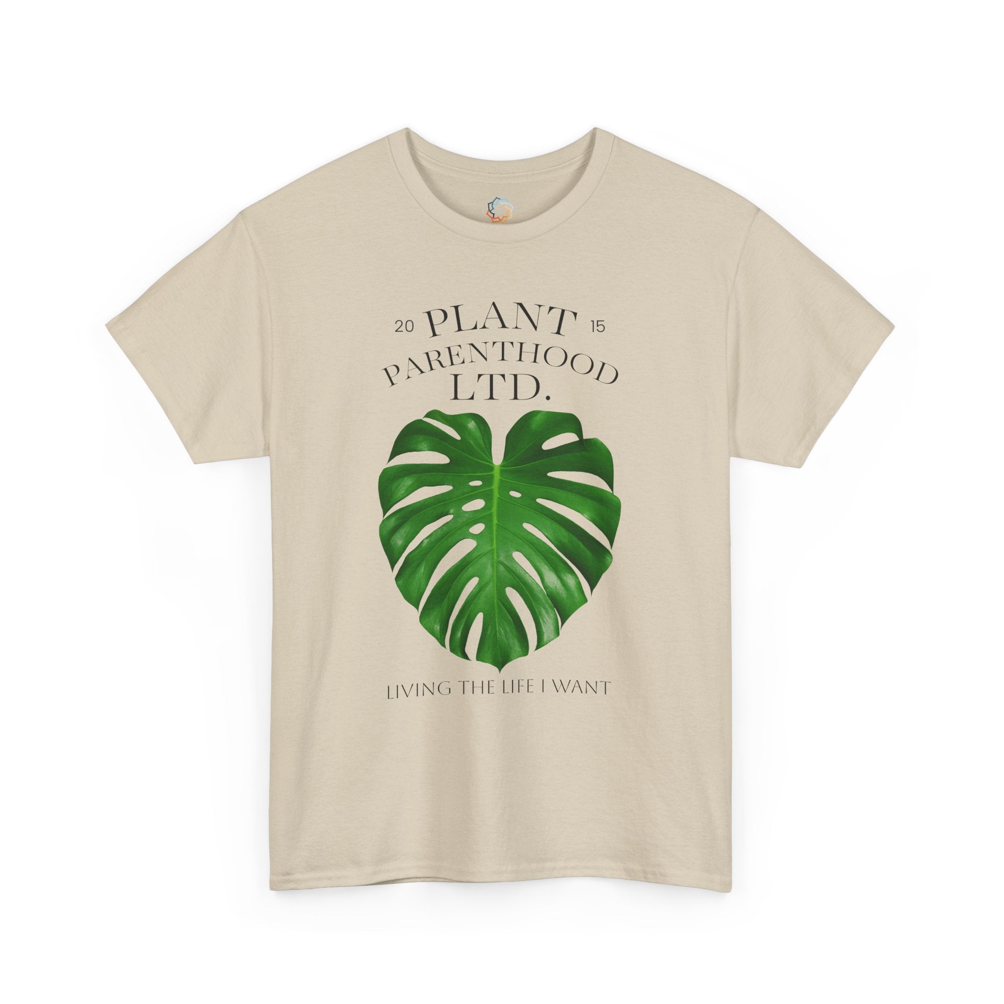 MONSTERA