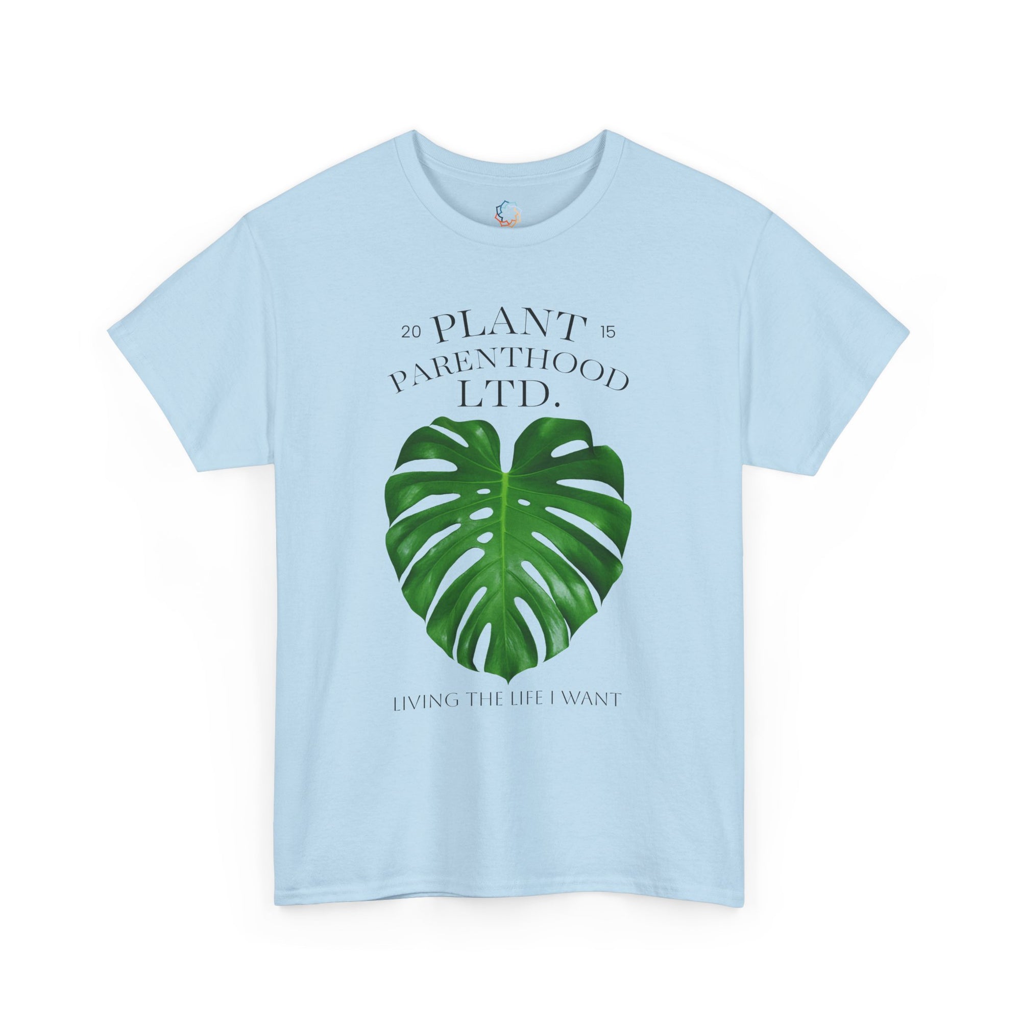 monstera plant graphic MONSTERA